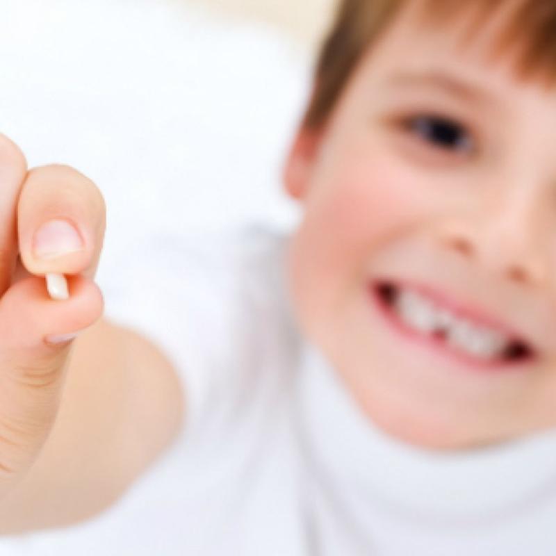 Células-tronco de dentes de leite